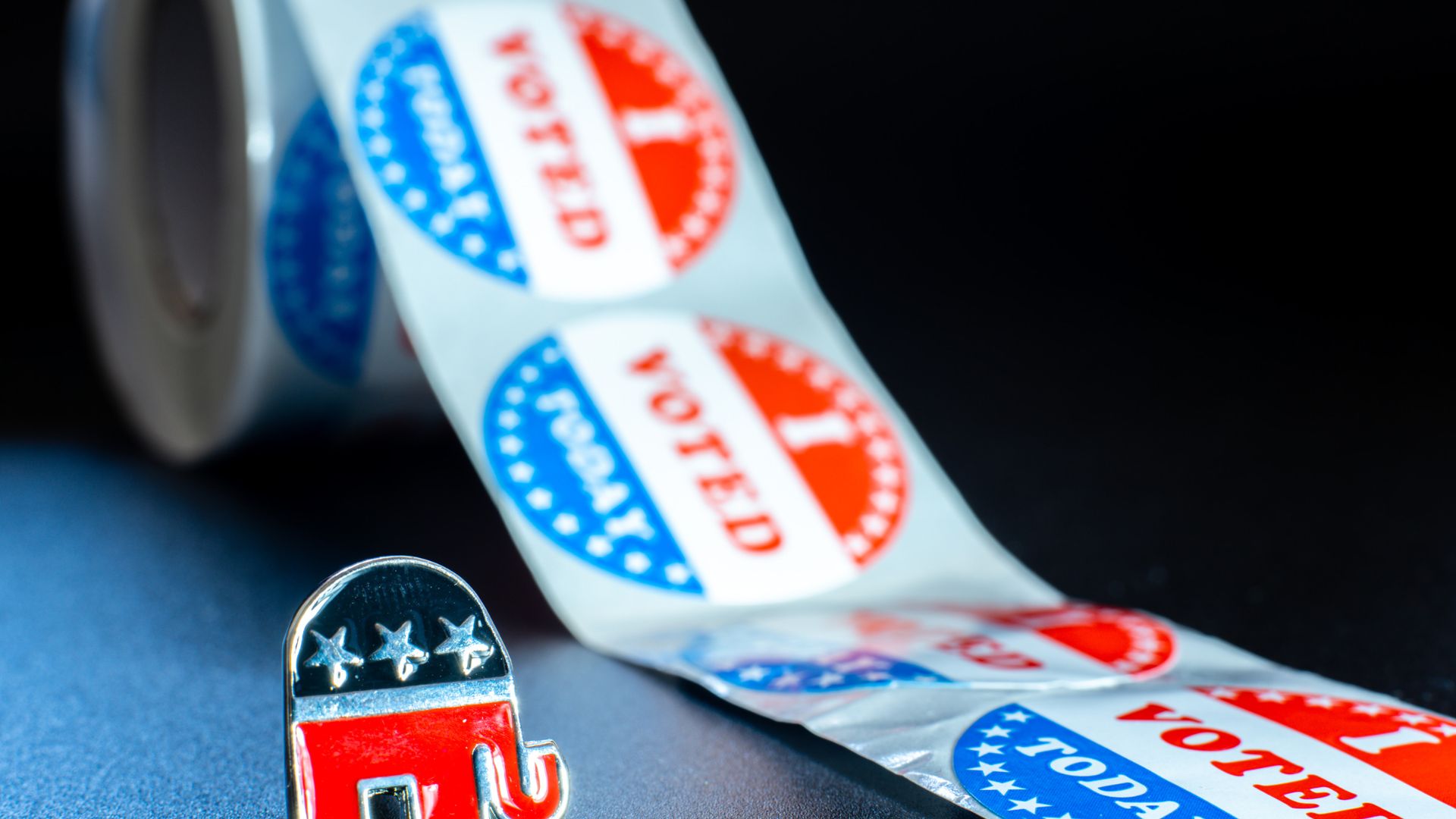DIY campaign vs hiring a campaign consultant